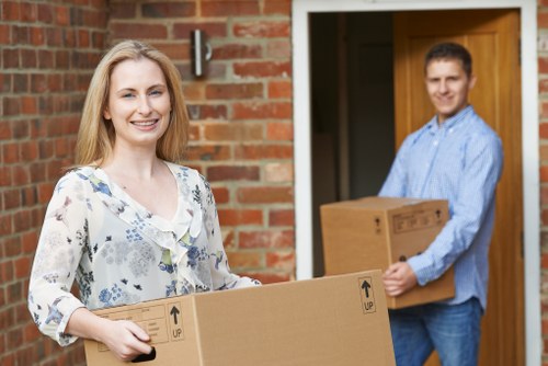 Expert movers transporting household items