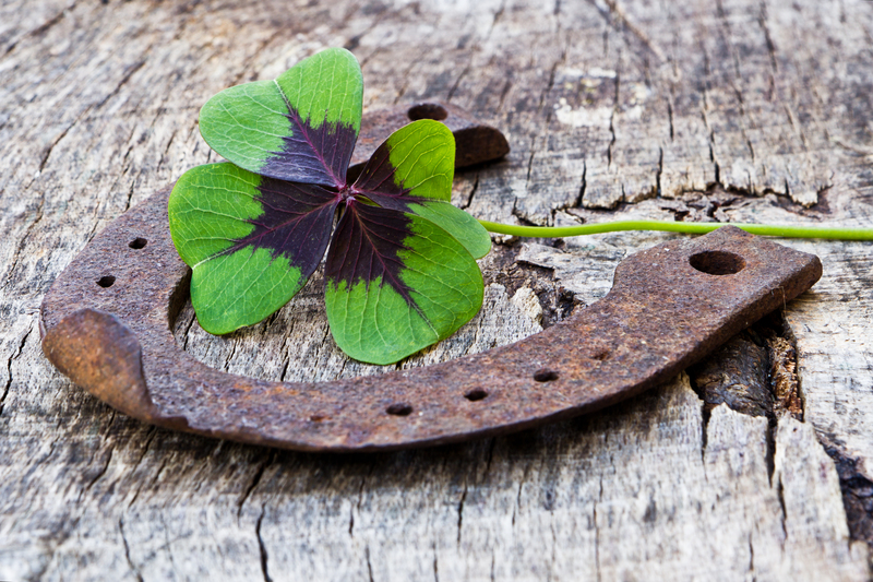 moving company moving companies